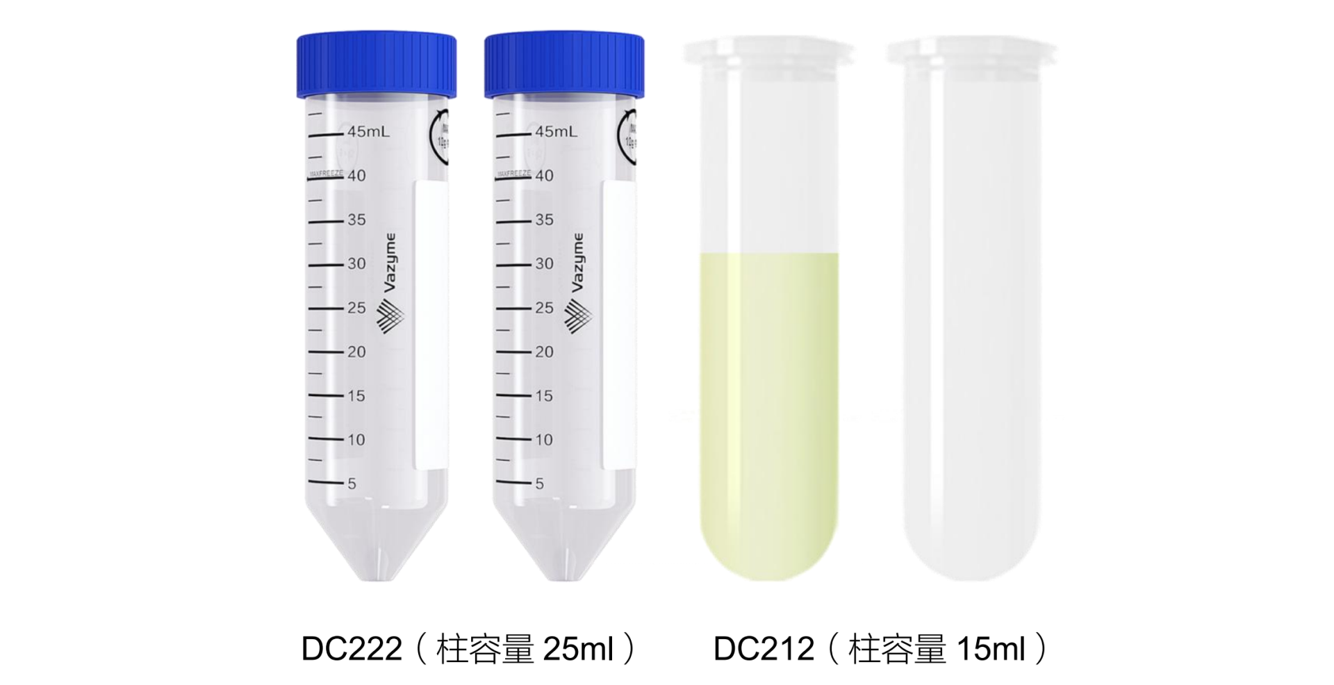 FastPure EndoFree Plasmid Mini