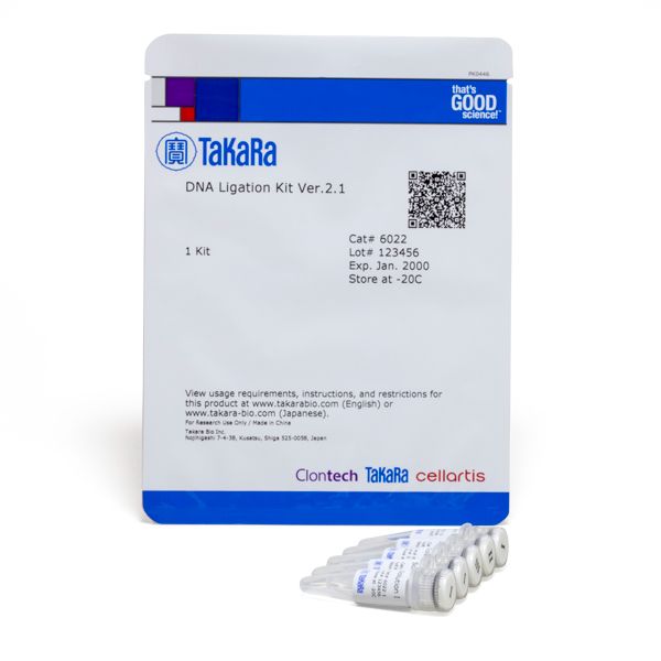 连接试剂盒DNA Ligation Kit Ver.2.1