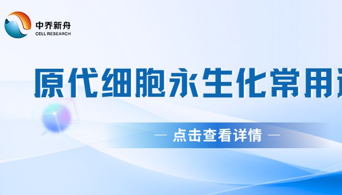 中乔新舟原代细胞永生化常用途径！