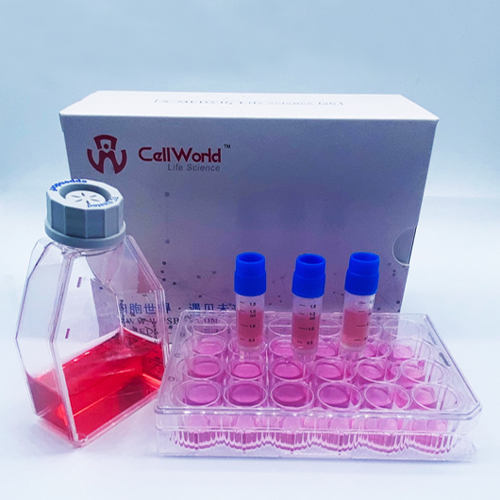 CellWorld 高效细胞冻存液(通用) C0162-513