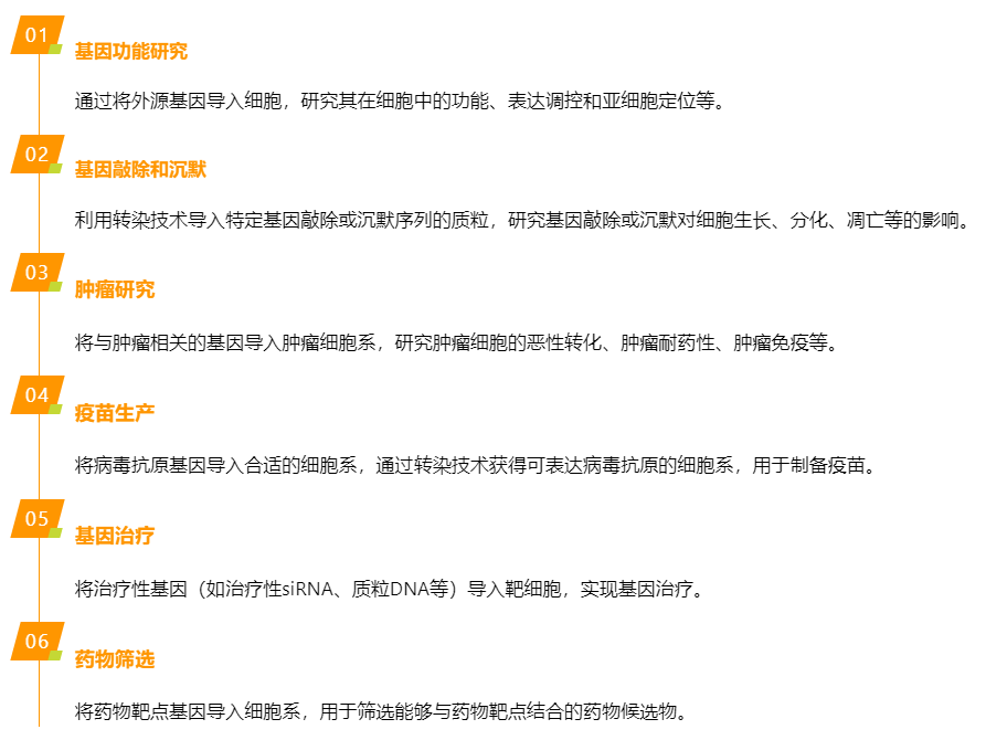 HEK293细胞专用转染试剂：重组蛋白与病毒载体生产的高效经济之选  