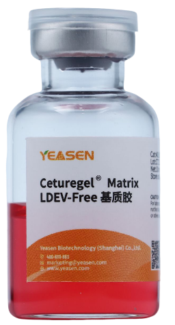 类器官替代动物试验的时代真的来了吗？