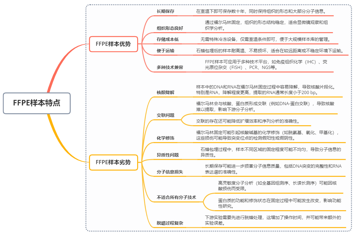 高效修复试剂，让FFPE样本焕发新生
