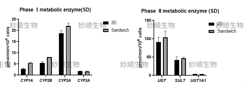 原代肝实质细胞三明治夹层培养系统(图3)
