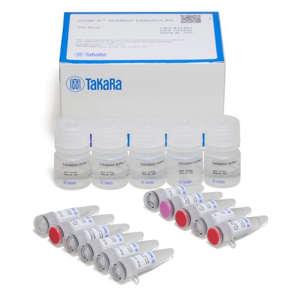 基因编辑后突变检测Guide-it Mutation Detection Kit