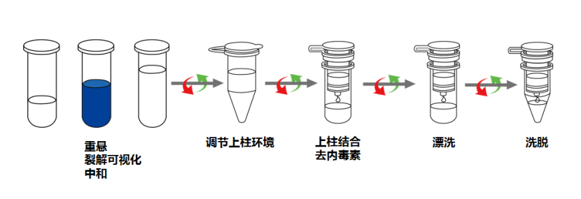 FastPure EndoFree Plasmid Mini