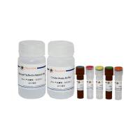 Amplex Red柠檬酸检测试剂盒