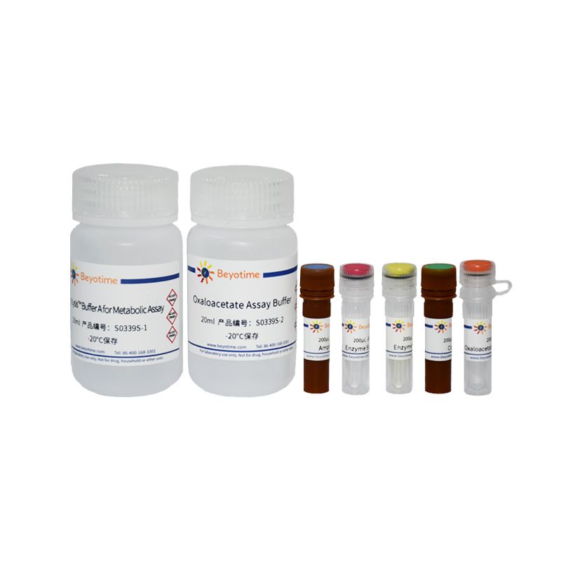 Amplex Red草酰乙酸检测试剂盒