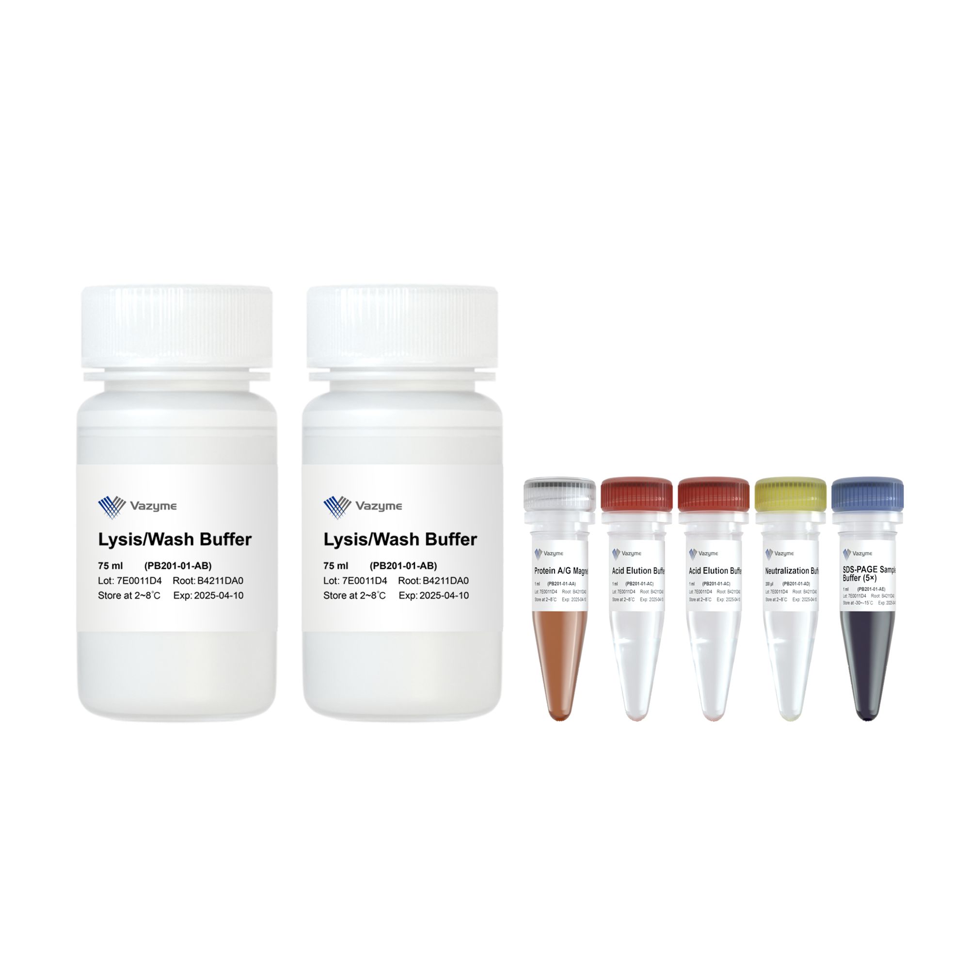 Protein A/G Magnetic IP/Co-IP Kit(PB201)