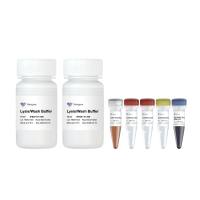 Protein A/G Magnetic IP/Co-IP Kit(PB201)