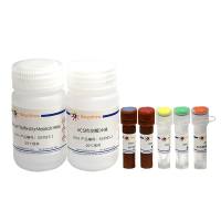 Amplex Red乙酰辅酶A合成酶检测试剂盒