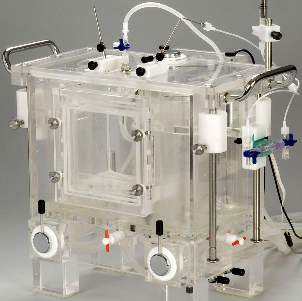 紧凑型朗根多夫心脏灌流系统