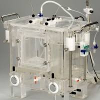 紧凑型朗根多夫心脏灌流系统