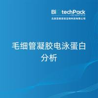 毛细管凝胶电泳蛋白分析