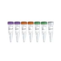 rRNA去除试剂盒 Ribo-off rRNA Depletion Kit (Human/Mouse/Rat)（N406）