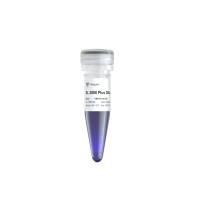 DL2000 Plus DNA Marker（MD101）