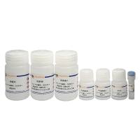 石蜡包埋组织基因组DNA抽提试剂盒(离心柱式)