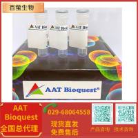 iFluor 500琥珀酰亚胺酯