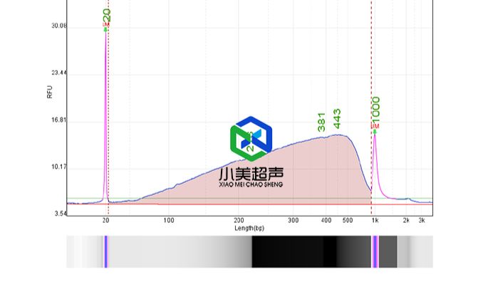 非接触式超声波DNA打断仪：不同型号间的实验效果对比分析