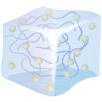 壳聚糖水凝胶负载包裹IRF5 mRNA 和 CCL5 siRNA的 脂质体纳米颗粒