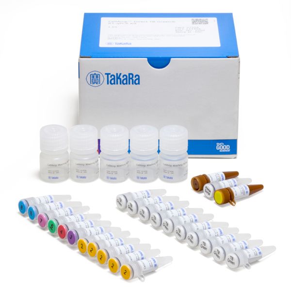 细胞用染料法RT-qPCR试剂盒CellAmp™ Direct TB Green® RT-qPCR Kit