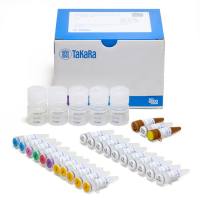 细胞用染料法RT-qPCR试剂盒CellAmp™ Direct TB Green® RT-qPCR Kit