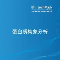 蛋白质构象分析