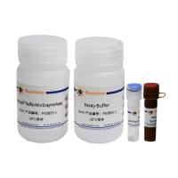 尿激酶抑制剂筛选试剂盒(荧光法)