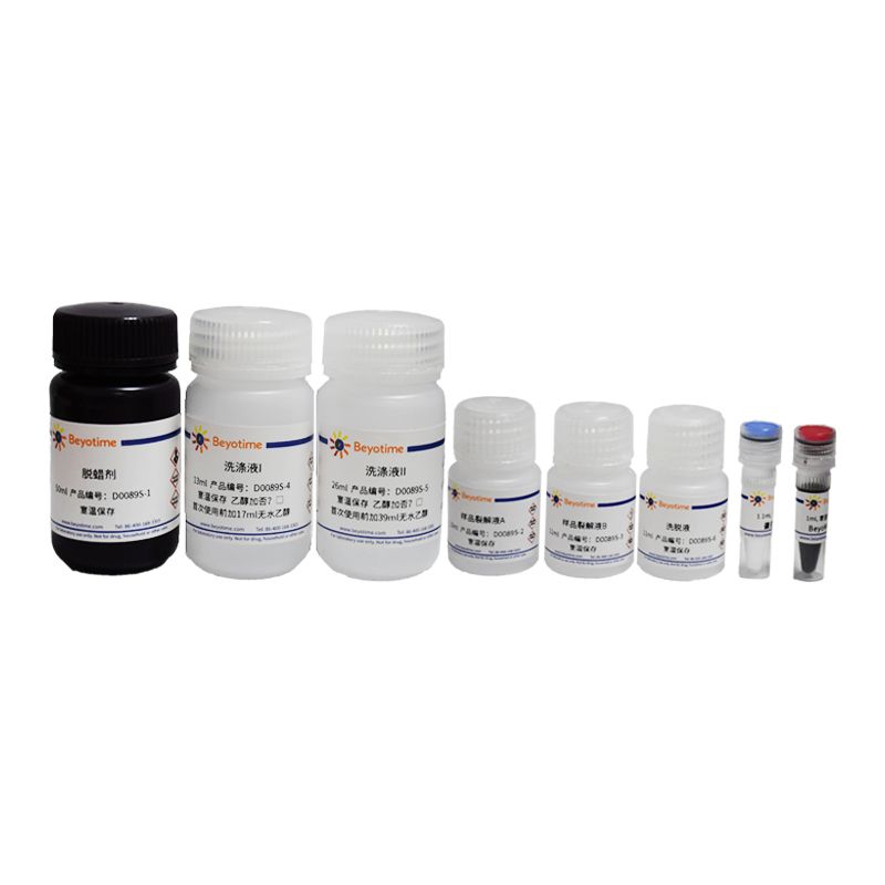 BeyoMag™石蜡包埋组织基因组DNA抽提试剂盒(磁珠法)