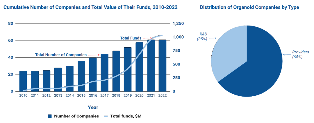 类器官替代动物试验的时代真的来了吗？