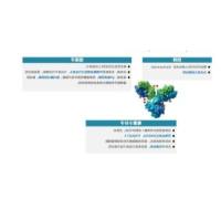 靶向TROP2的ADC药物 SKB264 人源化单克隆抗体-连接子-新型拓扑异构酶I抑制剂