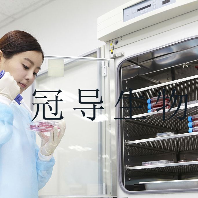 SVCT人乳腺上皮传代细胞长期复苏|送STR图谱