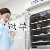 SVCT人乳腺上皮传代细胞长期复苏|送STR图谱