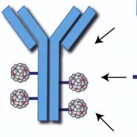 2400010-39-1 | 抗体药物偶联物(ADC)   | Cantuzumab mertansine |  人源化单克隆抗体 (huC242)  | 强效美登素衍生物 (DM1)