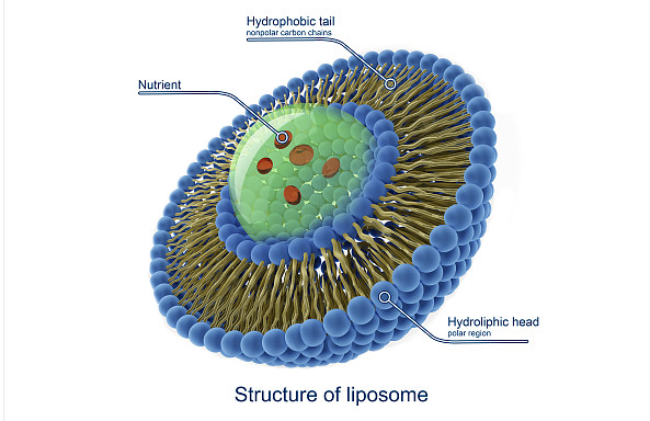 我们单独聊聊这两个载脂蛋白区别