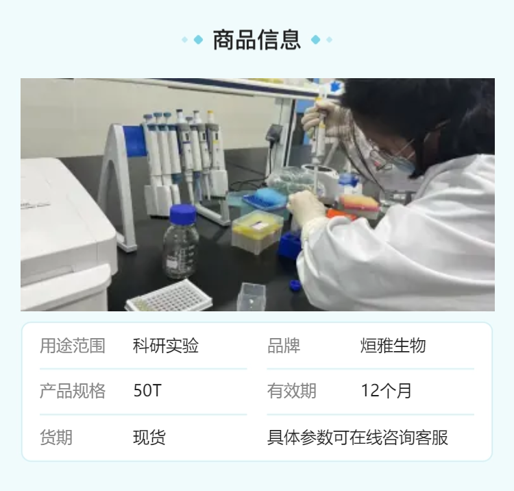 人白细胞抗原（HLA-B27）核酸检测试剂盒（探针法荧光PC