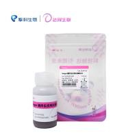 Sanger测序产物纯化磁珠2.0  Sanger Sequencing BigDye Removal Beads 2.0