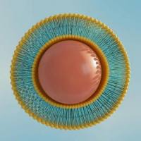 蓝色/绿色/黄色/橙色/红色荧光标记400nm空白脂质体  荧光脂质体(lipsome)定制