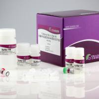 天根 微量样品基因组DNA提取试剂盒(DP316)