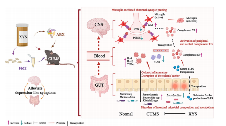 技术资料图片11