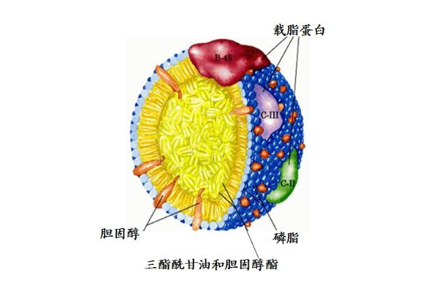 新闻图片2