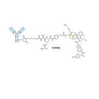 曲妥珠单抗通过可裂解型连接子偶联细胞毒性药物Duocarmycin形成ADC抗体药物偶联物（SYD985）  
