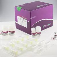 天根 动物组织总RNA提取试剂盒(DP431)