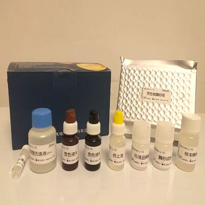 兔肿瘤坏死因子α(TNF-α)ELISA试剂盒