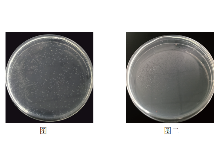 NovoRec® plus One step PCR Clo