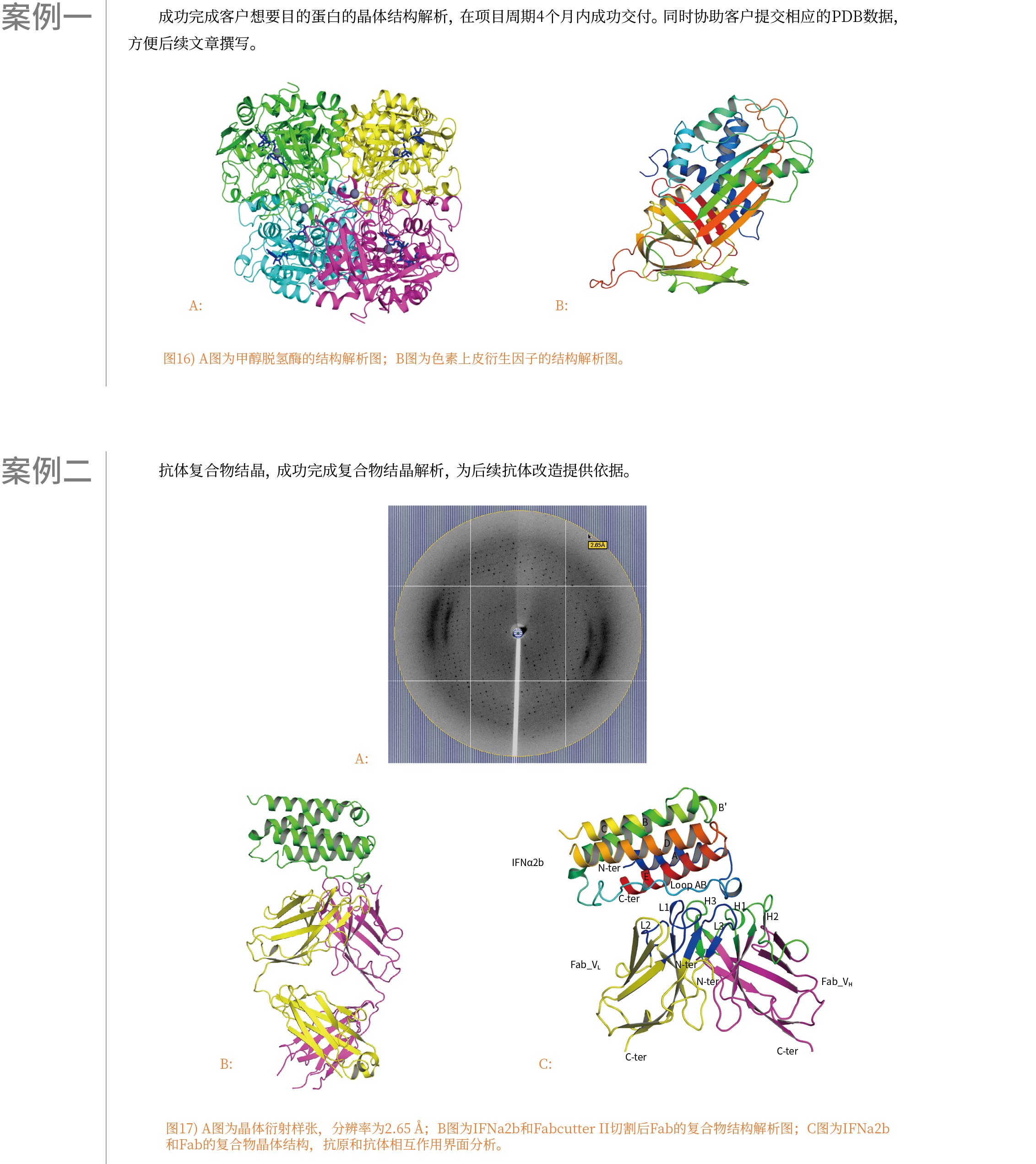 蛋白结晶及晶体结构解析服务
