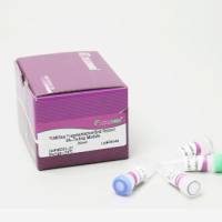 TIANSeq直接快速DNA文库构建试剂盒（IIIumina）（NG101）