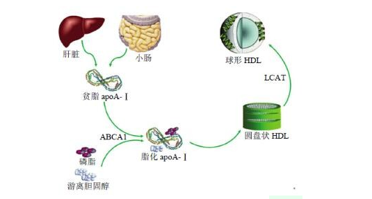 实验室针对不同批次的培养基进行质量控制
