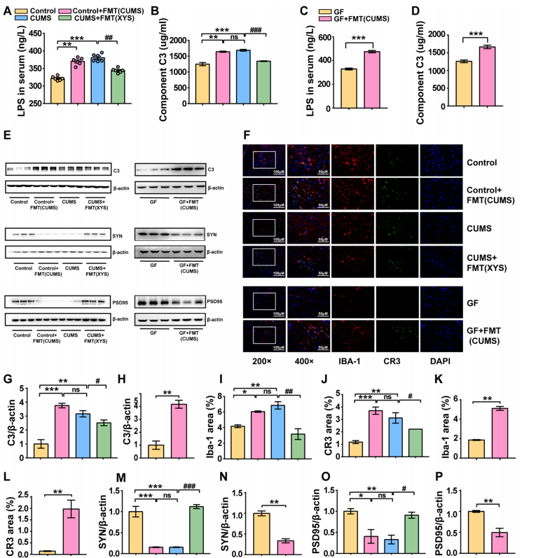 技术资料图片10
