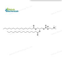 DPPC (CAS号：63-89-8)